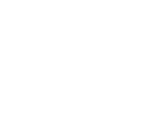 Logo BCC favikona